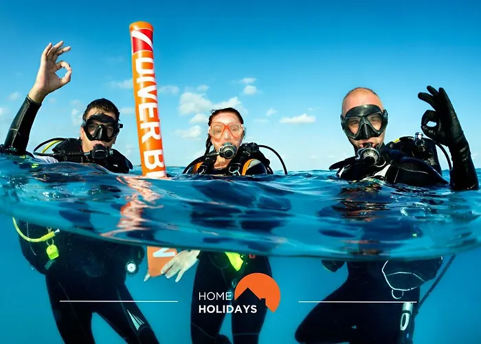 #101 T1 Bicos Flat D By Holidays 알부페이라